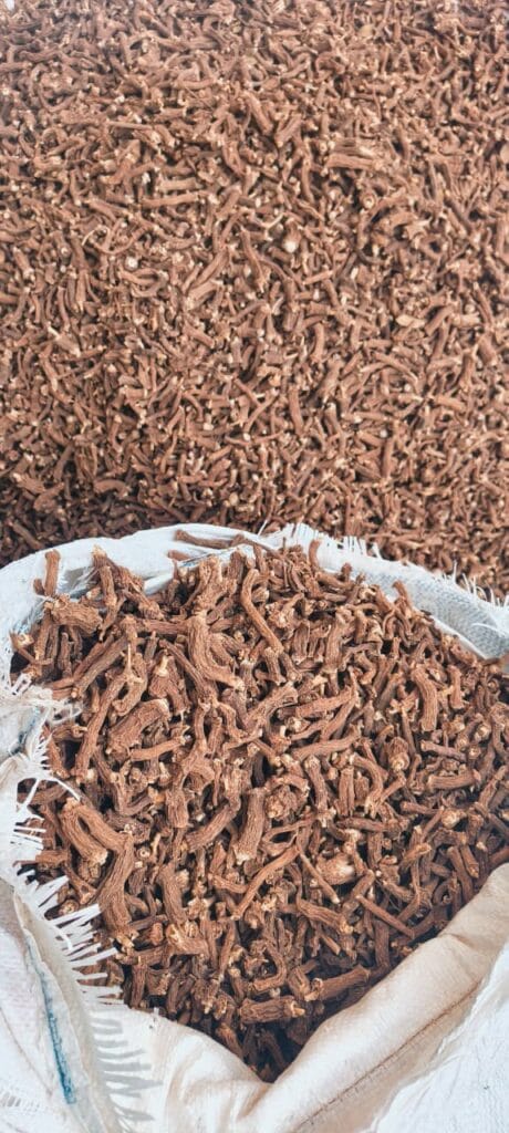 Indian Sarsaparilla Root dried herbal raw material