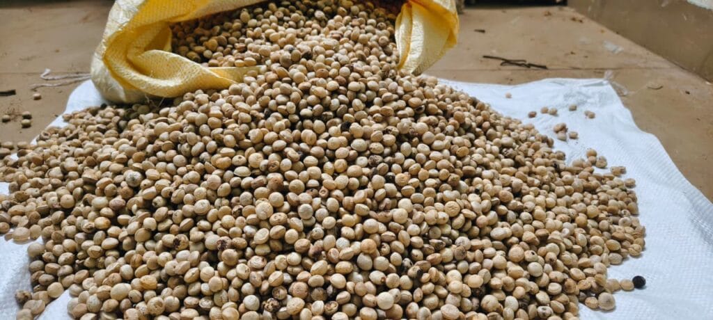 Nirmali Seeds herbal raw material